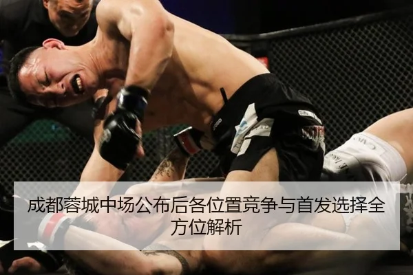 成都蓉城中场公布后各位置竞争与首发选择全方位解析